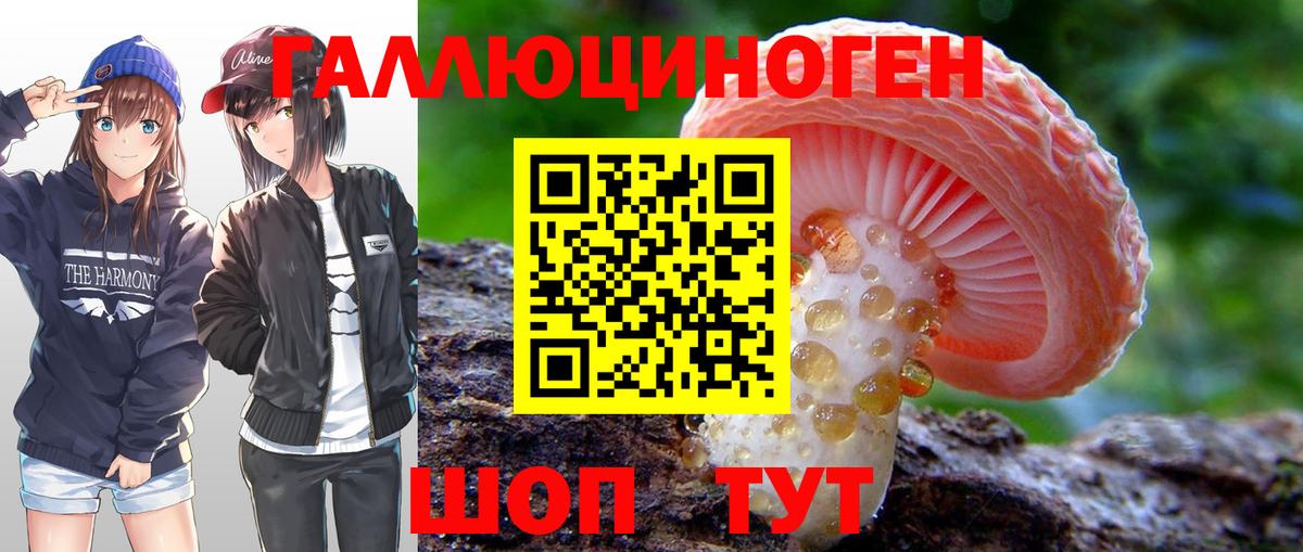 Галлюциногенные грибы MAGIC MUSHROOMS Обь
