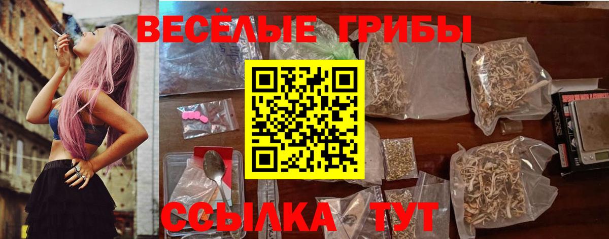 Псилоцибиновые грибы прущие грибы  Галлюциногенные грибы мицелий  Обь  Вход с VPN 